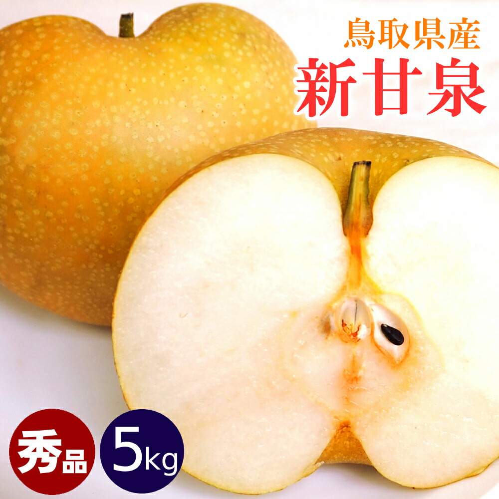 ★早割がお得 ＼梨王国鳥取／【予約】梨 新甘泉（しんかんせん）5kgセット（2L-3Lサイズ：14-18玉前後）鳥取県産 なし 和梨 ご贈答用 秀玉 送料無料（北海道・沖縄を除く）山田農園