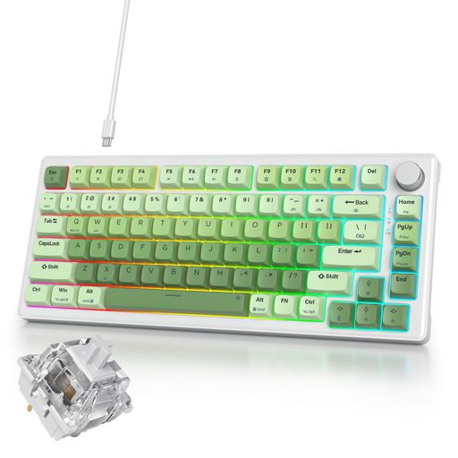 Ussixchare緑のメカニカルキーボード|キーボードゲーミング|ボリュームノブ搭載|ゲーミングキーボード75%カスタム|ガスケットマウント構造・RGBバックライト・ソフトウェア対応|XDAProfileプ…