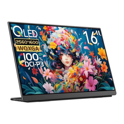 EHOMEWEI移動性管する144hz2.5K16inWQXGA2560*1600QLED量子ドットポータブルモニター非光輝【Windows/MacOS】相応う100%DCI-P3ゲーミングType-C保護すること写真フィルム