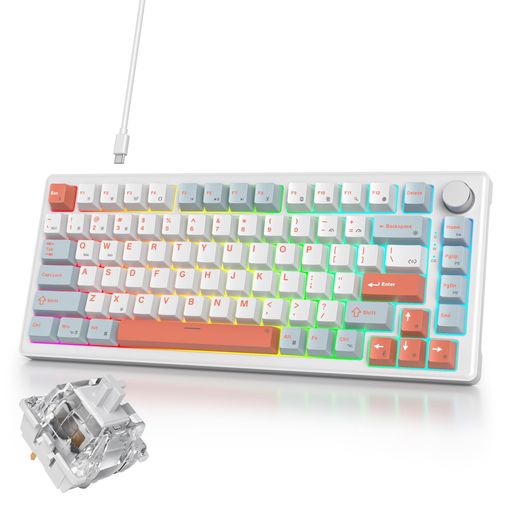 Ussixchareブルーメカニカルキーボード有線|キーボードゲーミング|音の大きさノッブ積み上げる|ゲーミングキーボード75%カスタム|ガスケットマウント社会システム・RGBうしろ側点火装置・ソフトウエア相応う|Cherry