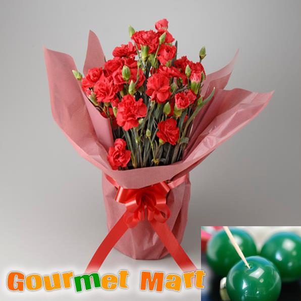 楽天市場 送料無料 母の日ギフト カーネーション鉢植え 鉢花 とまりも羊羹セット 母の日定番のお花をラッピングしてお届けします 北海道グルメマート