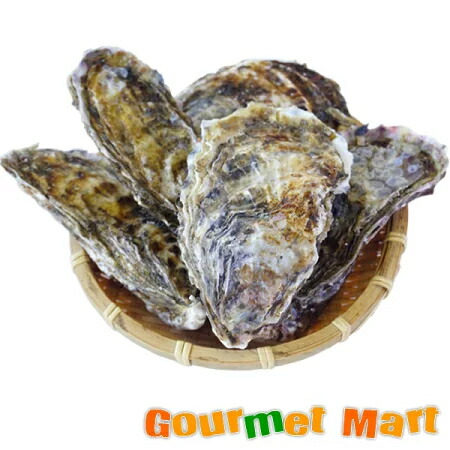 【送料無料】マルえもん(2Lサイズ)20個セット 北海道産 牡蠣 カキ 殻付き 生食 名産品 道産品 北海道直送 通販 通信販売 お取り寄せ おみやげ お土産 土産 母の日 ギフト