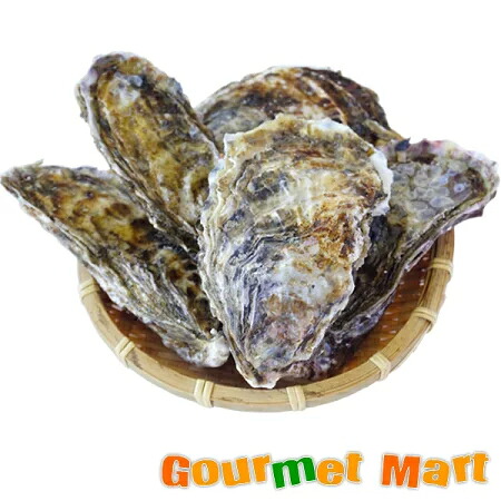 【送料無料】マルえもん(3Lサイズ)30個セット 北海道産 牡蠣 カキ 殻付き 生食 名産品 道産品 北海道直送 通販 通信販売 お取り寄せ おみやげ お土産 土産 母の日 ギフト
