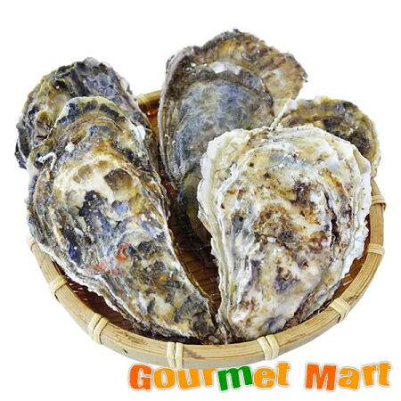 【スーパーセール期間中10％OFF/送料無料】カキえもん(Lサイズ)20個セット 北海道産 牡蠣 カキ 殻付き 生食 名産品 道産品 北海道直送 通販 通信販売 お取り寄せ おみやげ お土産 土産 お歳暮 ギフト