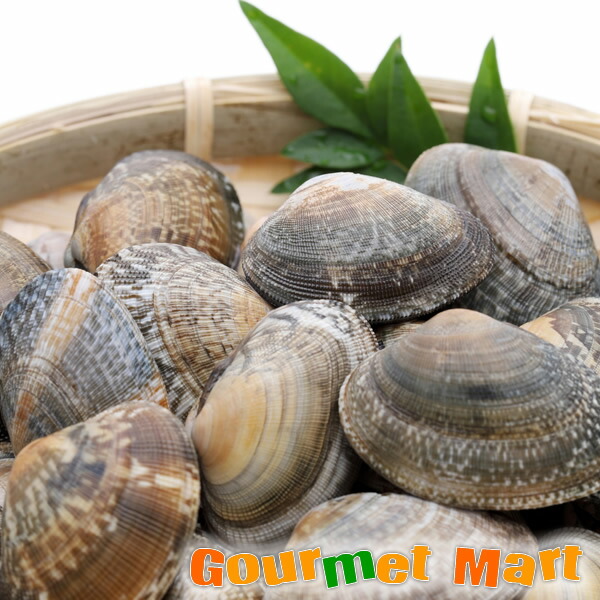 専用出品　アサリ様　5kg アサリ 1kg 【2026年4月以降発送】 あさり 貝 魚介 - 広島県大崎上島町