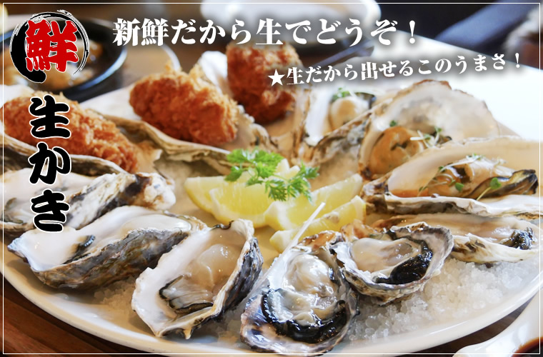 最大92％オフ！ 厚岸かき むき身 500g 北海道産 牡蠣 カキ 生食用 お中元 ギフト qdtek.vn