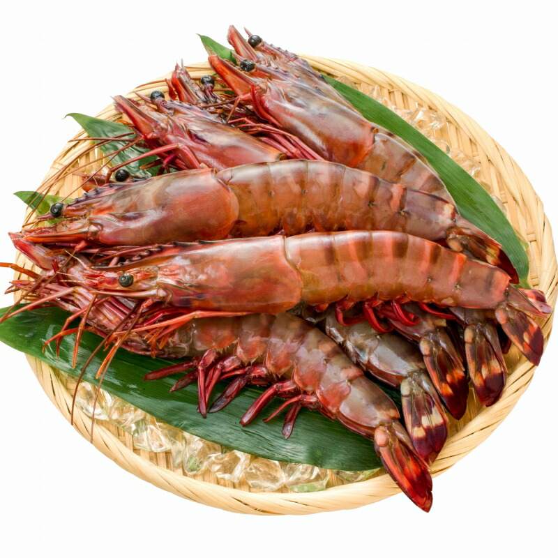 送料無料 訳ありグルメ通販 ボタン海老 赤身 食材通販 シータイガー 海老フライ 32尾 通販 訳あり通販 約30cm 1 5kg 4箱 冷凍 マグロ 天然 特大 築地のまぐろ 訳ありグルメ 超特大 わけあり商品 海老 エビ えび 海老 加熱用 冷凍 q バーベキュー 冷凍海老 ジャンボ 送料無料 訳ありグルメ通販 ボタン海老 赤身 食材通販 シータイガー 海老フライ 32尾 通販 訳あり通販 約30cm 1 5kg 4箱 冷凍 マグロ 天然 特大 築地のまぐろ 訳ありグルメ 超特大 わけあり商品 海老 エビ えび 海老 加熱用 冷凍 q バーベキュー 冷凍海老 ジャンボ