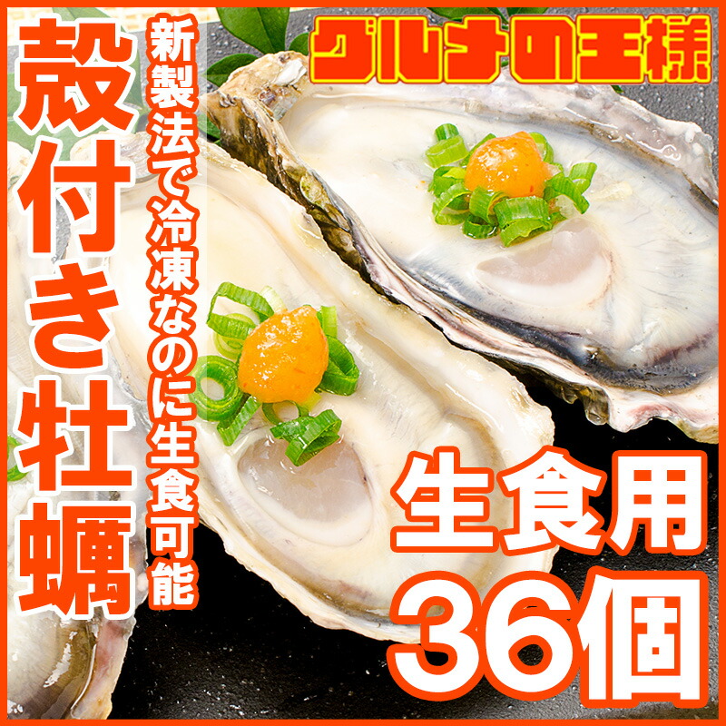 100％安い 生牡蠣 36個入り 冷凍殻付き牡蠣 生食用 新製法で冷凍なのに生食可能な殻付き牡蠣 fucoa.cl