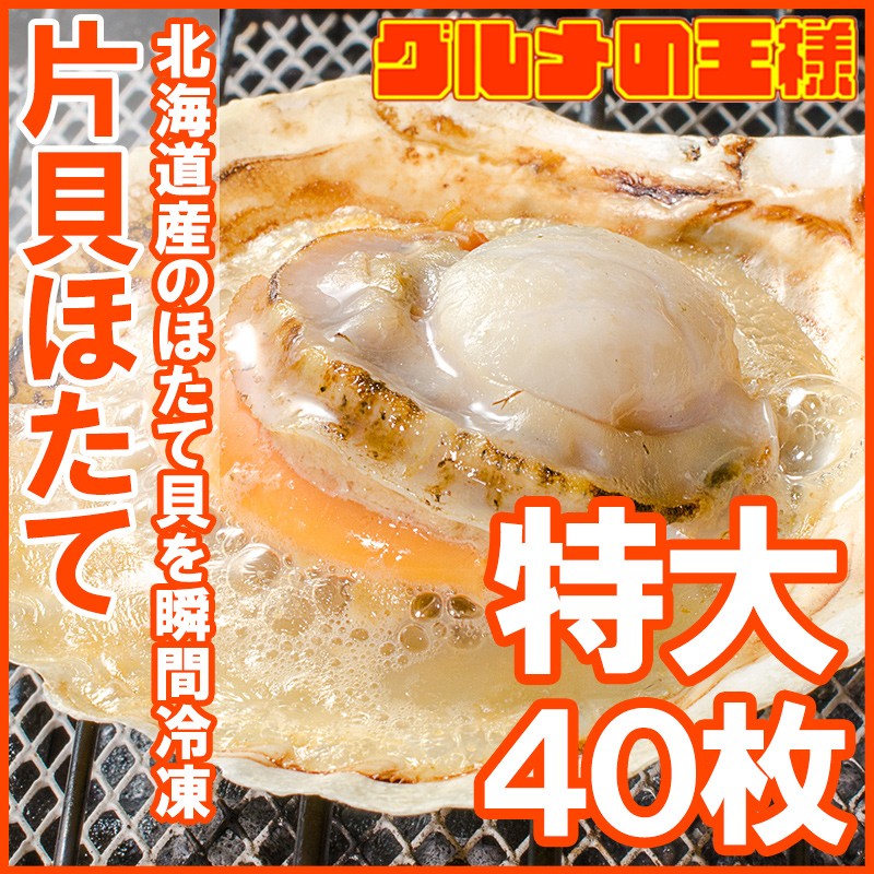 送料無料 ホタテ ほたて 特大 片貝革ほたて 40枚 10枚 4カバン 10 11 の特大大きさ 北海道産するのほたて貝 殻好い目ほたて 帆立 貝 牛酪焼き 浜焼き 丸焼き q 役用法 築地証券業界 豊洲市場 付け届け Smtb T R Daemlu Cl