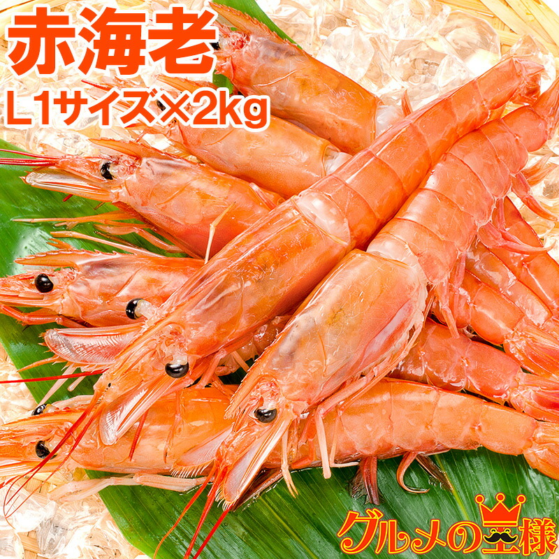 送料無料 赤海老 2kg 超特大 L1 20～40尾 業務用 1箱 お刺身用赤えび。ぼたん海老を超える希少な超特大！大きくプリプリの赤海老は甘みが違う 赤えび 赤エビ あかえび アカエビ アルゼンチン 寿司 バーベキュー ＢＢＱ レシピ  築地市場 豊洲市場