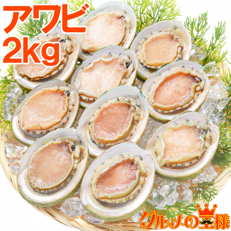 最大 オフ 送料無料 あわび Lサイズ 2kg 合計24個 1箱12個入り 殻つきお刺身用アワビ 高級料亭でも使用する新鮮な殻付きあわび R Fucoa Cl