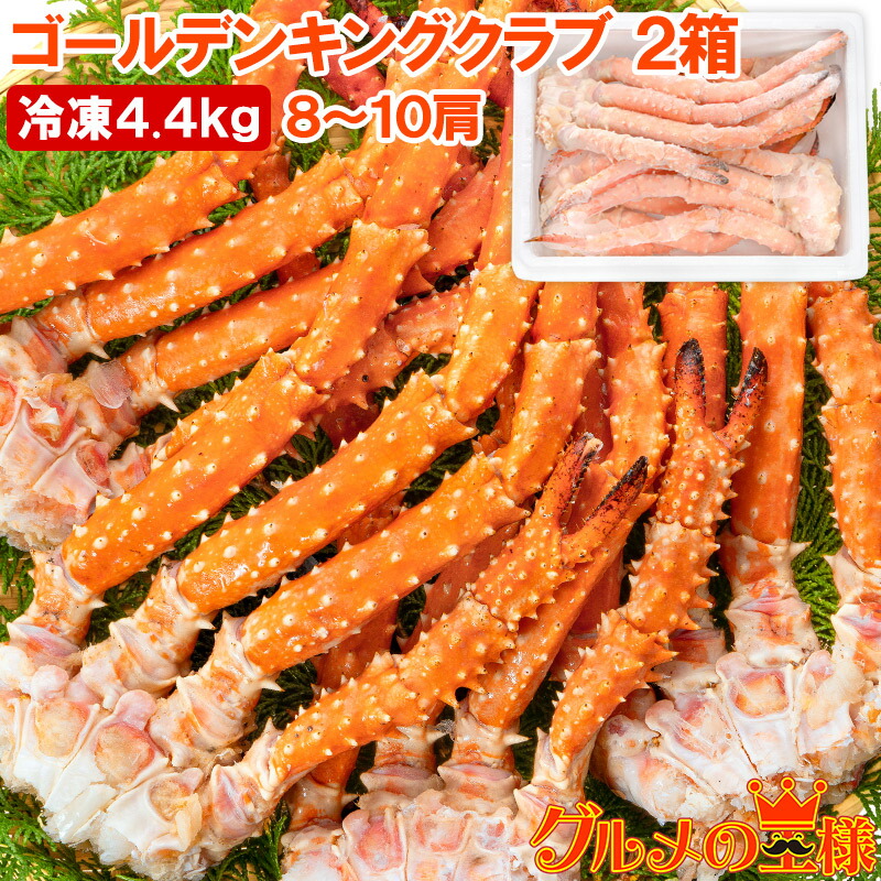 送料無料 ゴールデンキングクラブ 2箱 冷凍総重量 4.4kg 合計8～10肩 解凍後 3.6kg タラバガニにも負けない旨味 タラバガニ科 イバラガニ 正規品 ボイル冷凍 足 肩セクション かに カニ 蟹 豊洲市場 カニ鍋 焼きガニ かに脚 ギフト 贈答用 お歳暮 単品おせち 海鮮おせち