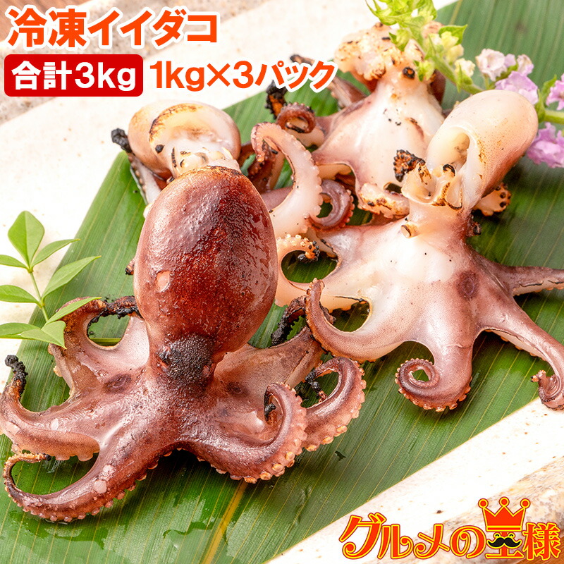 イイダコ いいだこ 業務用 3kg 1kg×3 タコ たこ 蛸 飯蛸 冷凍 バラ凍結 チュクミ ポックム 韓国料理  鍋 おでん 飯蛸 たこ飯 下処理済みご飯のお供 おかず 築地市場 豊洲市場