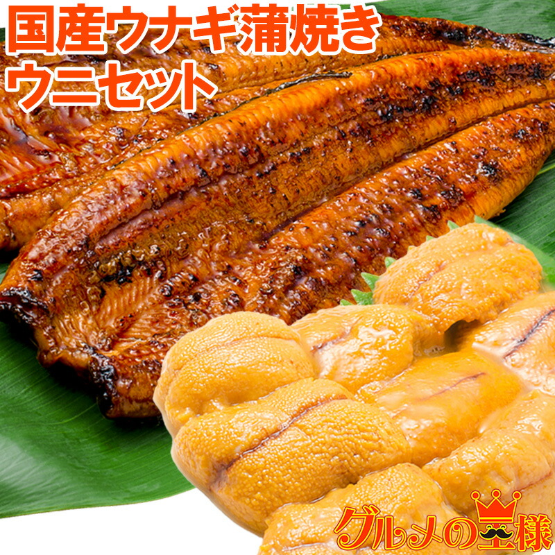 うにうなぎセット ＜竹＞ 特大国産うなぎ蒲焼き 平均165g前後×2尾 生ウニ 100g タレ付き 柔らかうなぎと生ウニの贅沢セット うなぎ ウナギ 鰻 うな丼 うな重 ひつまぶし 土用の丑 ウニ うに ギフト 築地市場 豊洲市場 おせち 単品おせち 6,384円