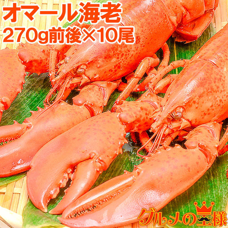 最安値挑戦 オマール海老 ロブスター 冷凍重量270g前後 10尾 肉厚な高級ボイルロブスター ロブスター オマールエビ オマール海老 オマールロブスター 伊勢海老 伊勢えび バーベキュー ギフト レシピ Smtb T 当季大流行 Sbmpe Co In