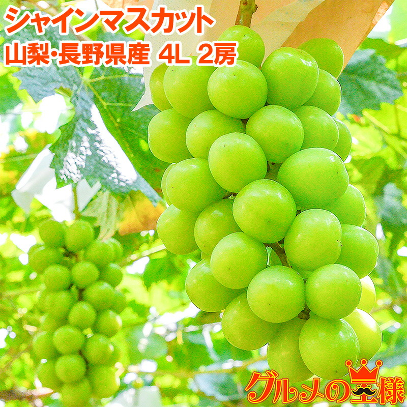 【夏季限定】No.74　4kg　シャインマスカット　摘みたて　産地直送　山梨県産 シャインマスカット 4kg 贈答用 山梨県産 秀 満杯詰 暑御見舞い