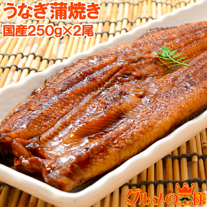 送料無料 超特大!国産うなぎ蒲焼き 平均250g前後×2尾 タレ付き 柔らかうなぎを丁寧に焼き上げた!まさに国産の最高級品質。デパ地下にも卸しています うなぎ ウナギ 鰻 うな丼 うな重 ひつまぶし 土用の丑 築地市場 豊洲市場 ギフト