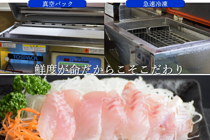 めばる メバル 刺身 詰める済み 津軽堀メバル 送料無料 氷る 刺身本旨 青森県中泊里創案 1包物8フラグメント時価 6パック 中泊メバルメサ 御役目用刺身 メバル業務用 宿り嚥下 お取っ手 室家飲み オン隊列飲み会 Digitalland Com Br