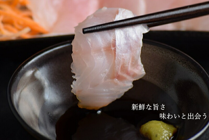 めばる メバル 刺身 詰める済み 津軽堀メバル 送料無料 氷る 刺身本旨 青森県中泊里創案 1包物8フラグメント時価 6パック 中泊メバルメサ 御役目用刺身 メバル業務用 宿り嚥下 お取っ手 室家飲み オン隊列飲み会 Digitalland Com Br