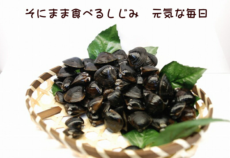 食べる焼き しじみ しじみご飯 しじみみそ汁などにも 薄味ですので料理に