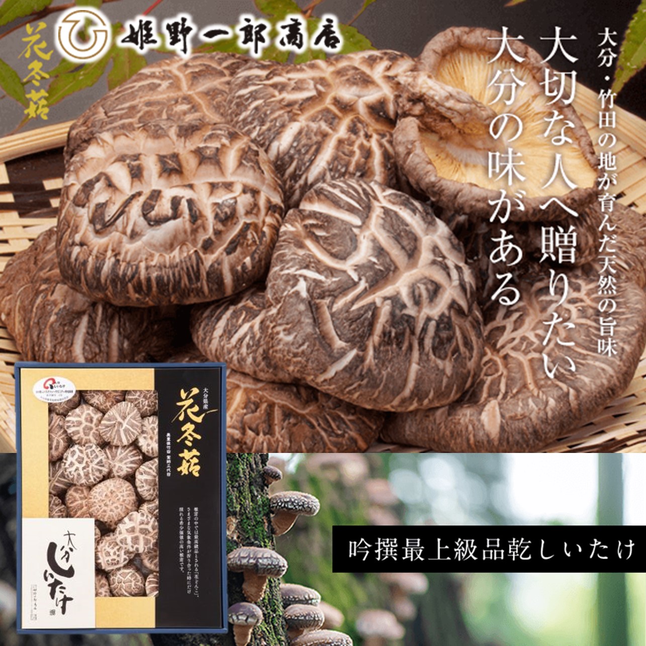 市場 大分県産 花どんこ150ｇ：グルメアドベンチャー 椎茸 どんこ