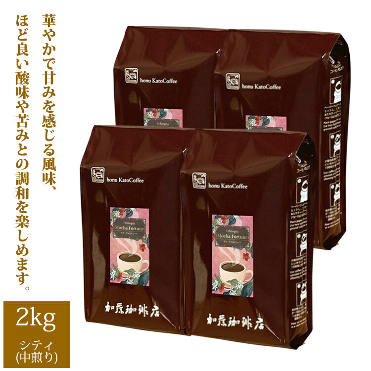 エチオピア モカ・フォルトゥーナ珈琲2kgセット(フォルト×4)/珈琲豆　加藤珈琲店　送料無料　コーヒー　コーヒー豆　加藤珈琲　スペシャルティーコーヒー