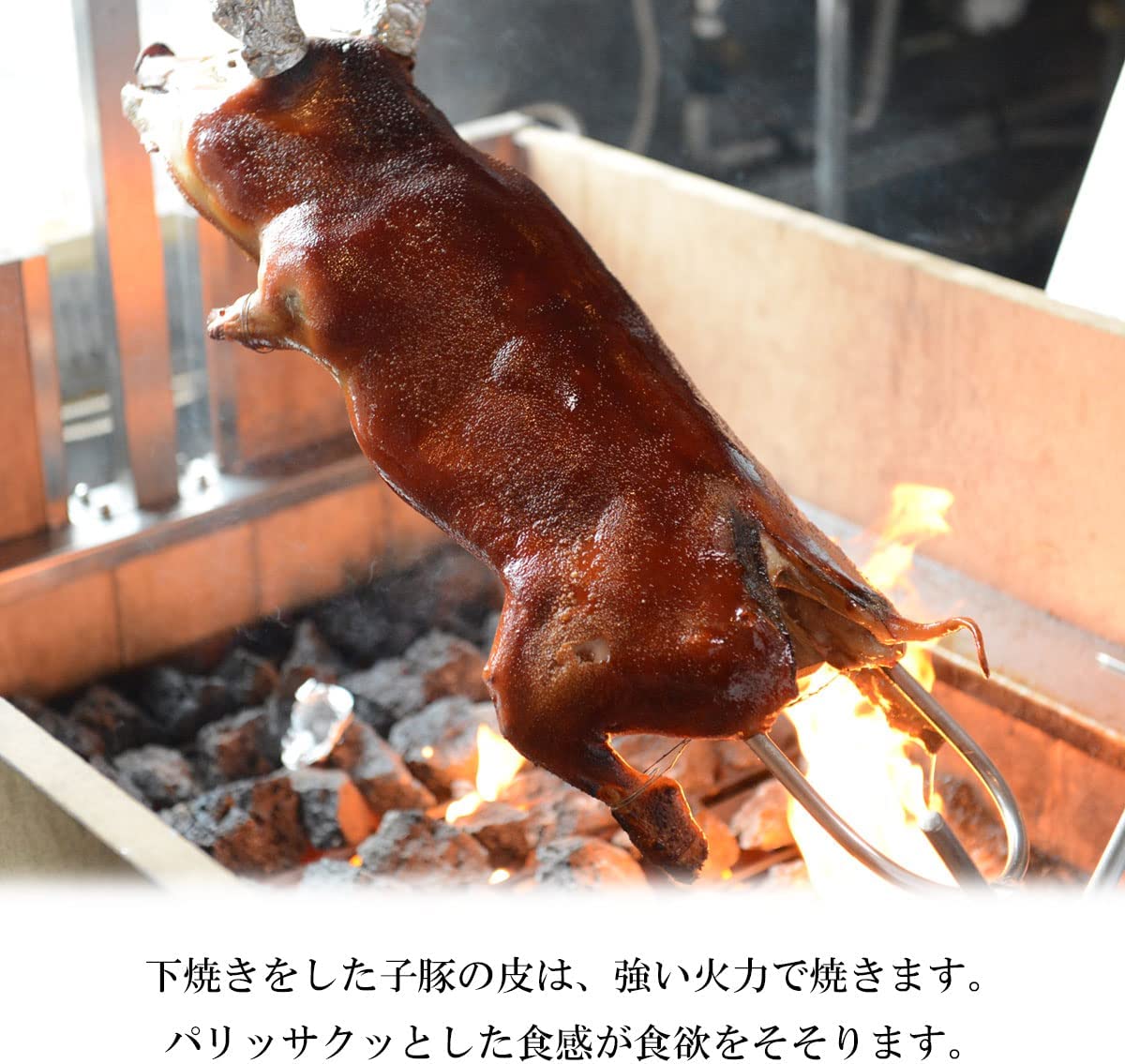 ナン　焼き餅　串焼き　丸焼き　窯焼き 仔豚 丸焼き用 コチニージョ ミルクフェッド 子豚 スペイン産