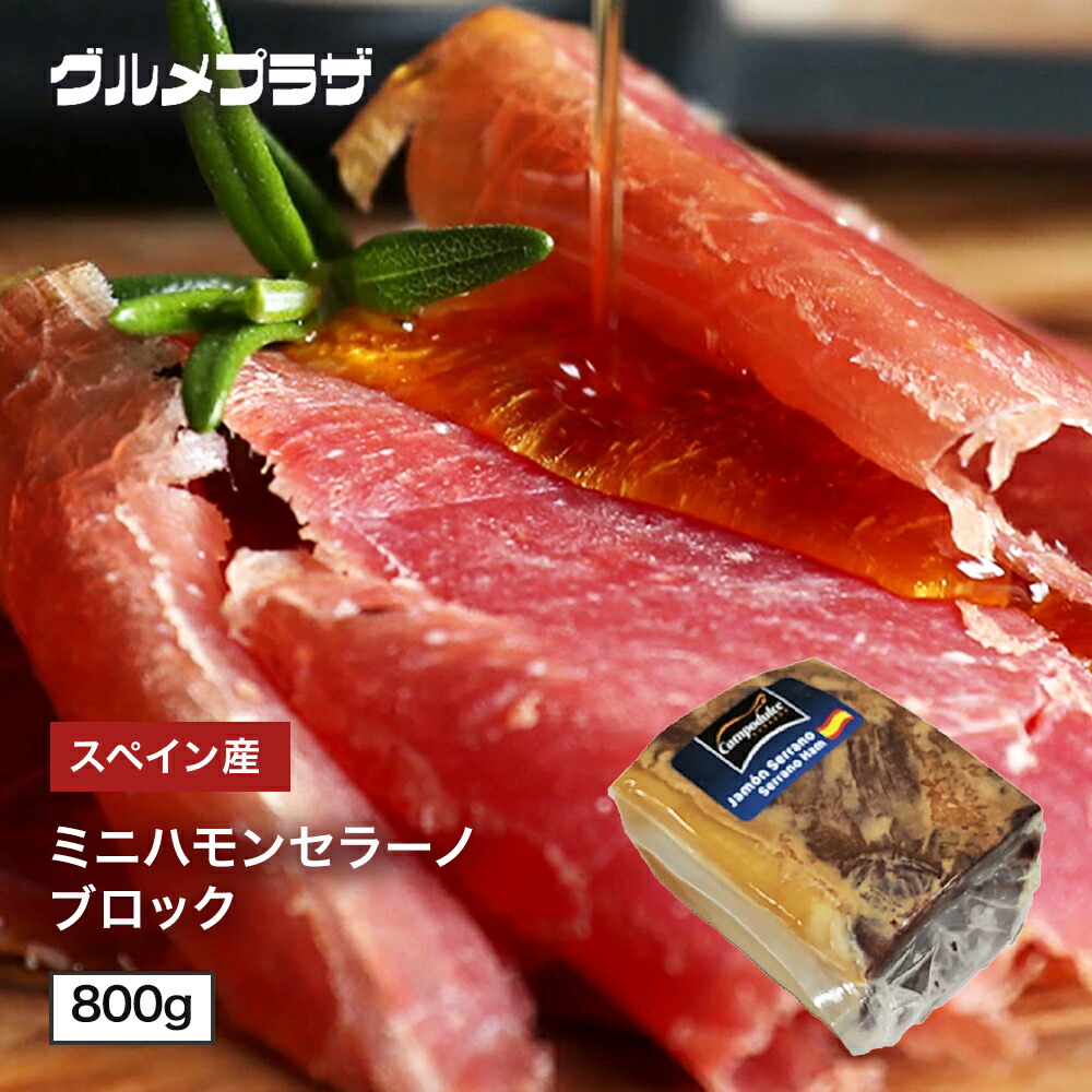 生ハム  ハモンセラーノブロック 800g ミニ生ハム ミニハモンセラーノブロック ミニハモンセラーノ ミニセラーノ スペイン産 原木 ミニ生ハム原木 熟成生ハム ギフト おつまみ 誕生日 パーティ 地域限定送料無料