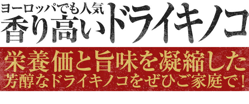 ギフト 箱番線 3.1mm #10 ×800L 1箱 資材や足場板などの梱包や結束に 加工番線 www.kalibr.tv