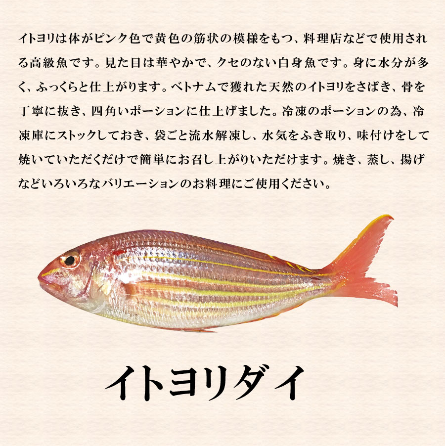 楽天市場 天然 イトヨリ 鯛 ポーション 30g ヶ 冷凍 水産 冷凍食品 魚 業務用 家庭用 つまみ おつまみ たっぷり お土産 手土産 ベトナム 和食 フレンチ 中華 割烹 居酒屋 レストラン 料理 パーティ ビュッフェ 冷凍品 グルメ大陸