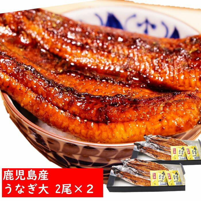 市場 国産うなぎ蒲焼 うなぎ 鰻 うなぎの蒲焼 2尾 国産うなぎ 鰻の蒲焼き 魚 ×2 ウナギ 大 鰻の蒲焼 国産 セット 鹿児島 パック 冷凍