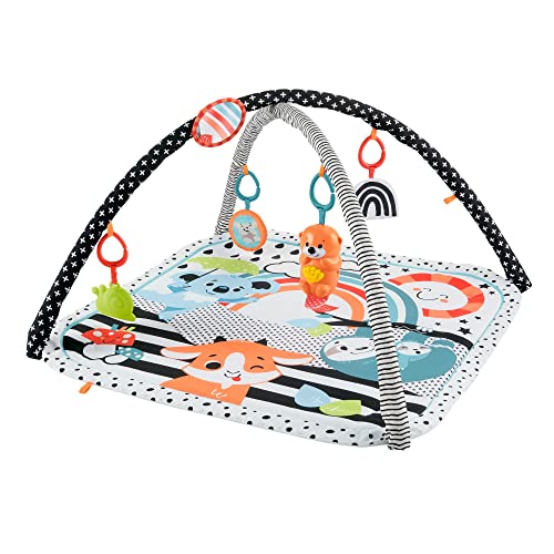 フィッシャープライス(fisher price) 感覚を育てよう! ラッコのわくわくミュージカルジム 【お誕生(0ヵ月)~】 HBP41 送料無料