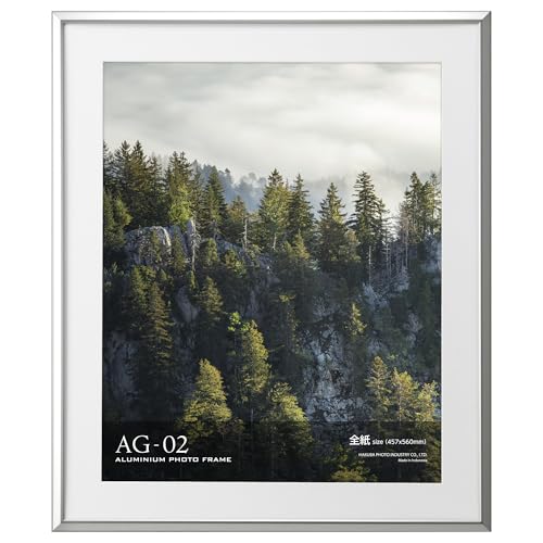 ハクバ HAKUBA 額縁 アルミ AG-02 全紙 アクリル板 シルバー FAG2-SVZ 送料無料