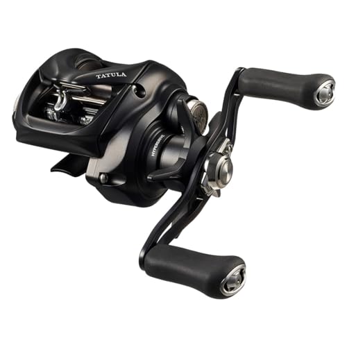 ダイワ(DAIWA) ベイトリール 24TATULA TW 100HL 貨物輸送無料