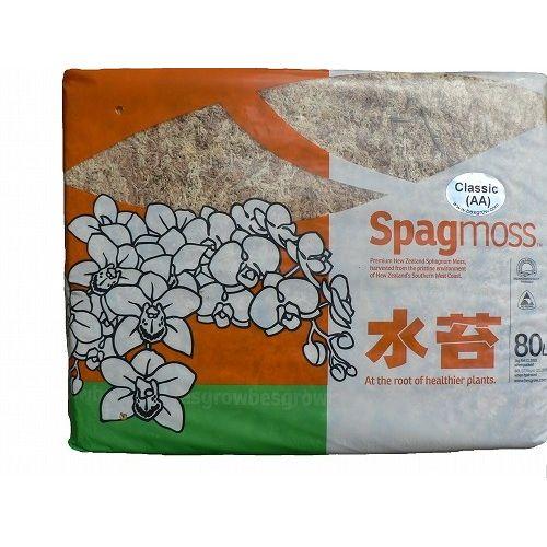 青木物産 水苔 締めつける 1kg ニュージーランド産 御機嫌評価品(AA)