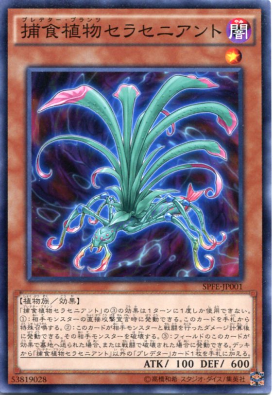 捕食植物セラセニアント（プレデター・プランツ）　ノーマル　SPFE-JP001　闇属性　レベル1　遊戯王カード画像