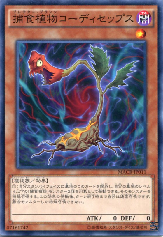 楽天市場】【中古・可】ゴキボール ノーマル 初期 地属性 レベル