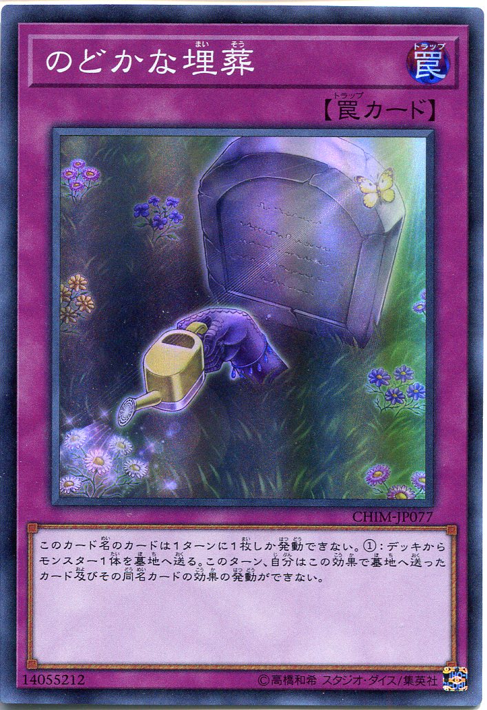 遊戯王 - 【なやよわ】遊戯王 41gCgufnwQL._UF894,1000_QL80_.jpg