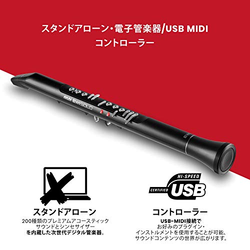 ストライプ デザイン/Striipe design AKAI Pro EWI USBウインド