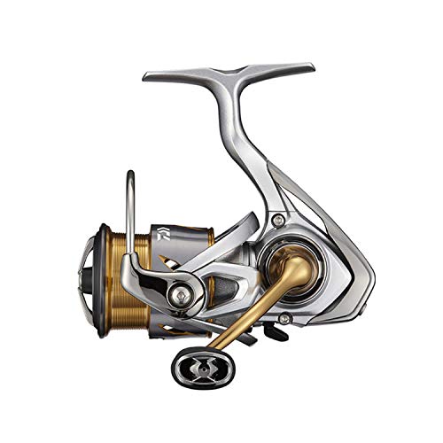 ダイワ(DAIWA) 21 フリームス FC LT2000S 送料無料