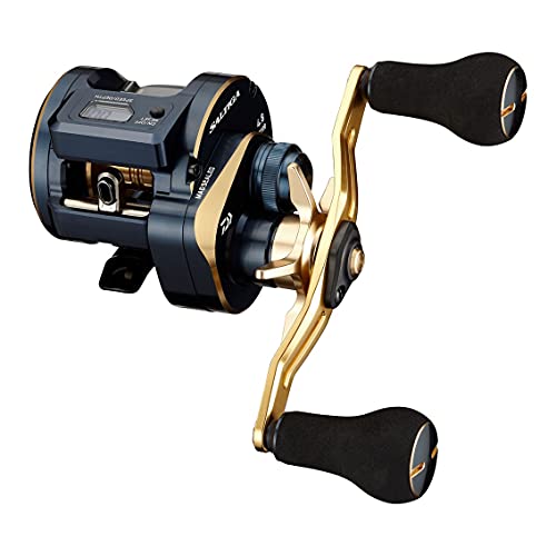 ダイワ(DAIWA) 21 ソルティガIC 100PL-DH 送料無料