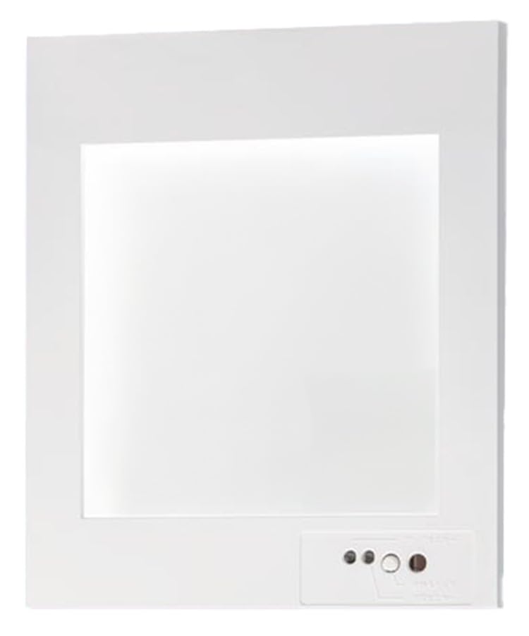 パナソニック(Panasonic) 壁埋込型 LED突き動かす灯 片面型・原則として型（20分間） 自分自身読み合わせる役立つこと付/C級(10形) FA10303C 貨物輸送無料