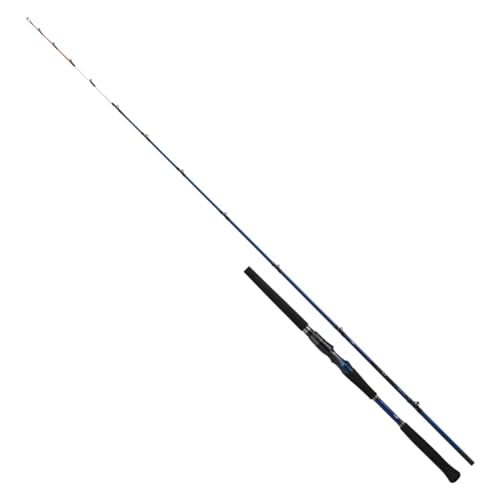 ダイワ(DAIWA) 船竿 極鋭アカムツ MH-205 送料無料|GR ONLINE STORE