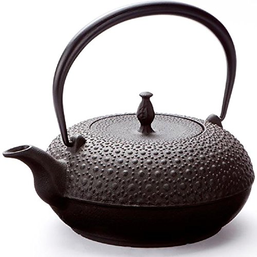 及源 南部鉄器 鉄瓶 東雲亀甲 1.0L IH対応 H-200 送料無料