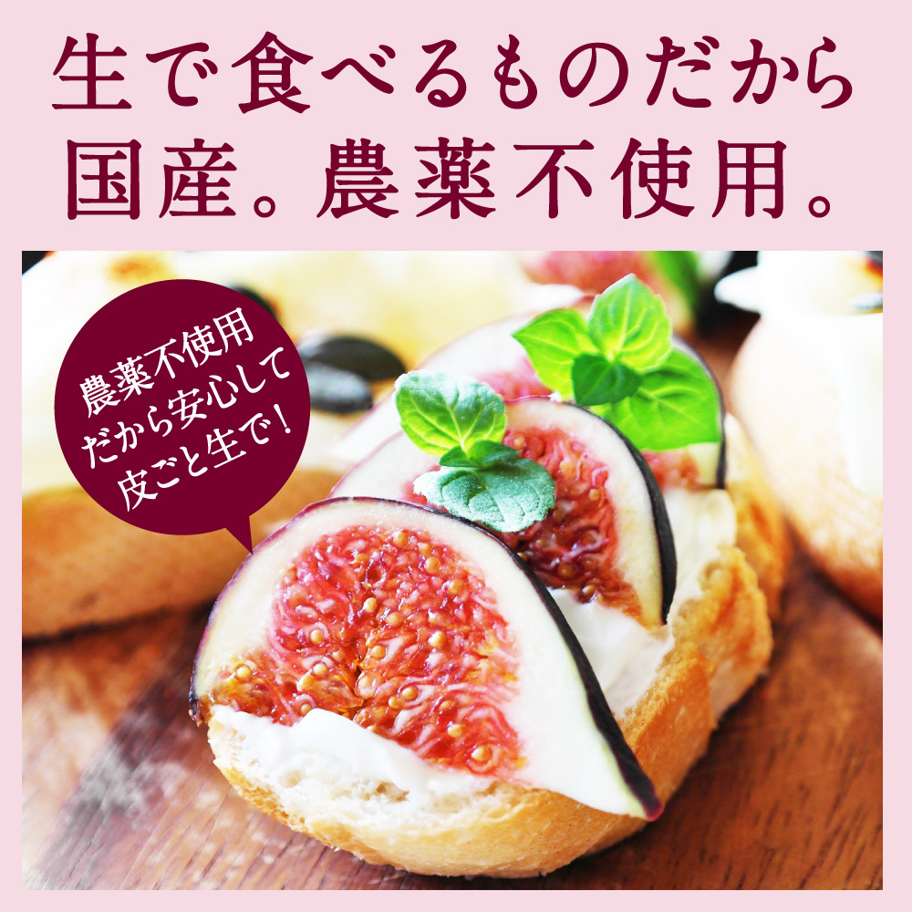 楽天市場 農薬不使用 生いちじく 1 2キロ 兵庫県産 朝採れ 直送 あかね農園