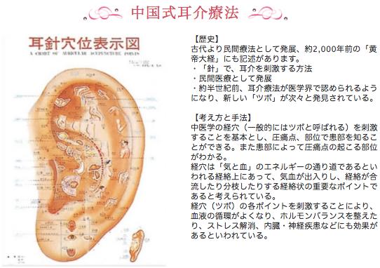 市場 耳つぼ 業務用 耳ツボジュエリー 耳模型 練習用 イヤーマネキン