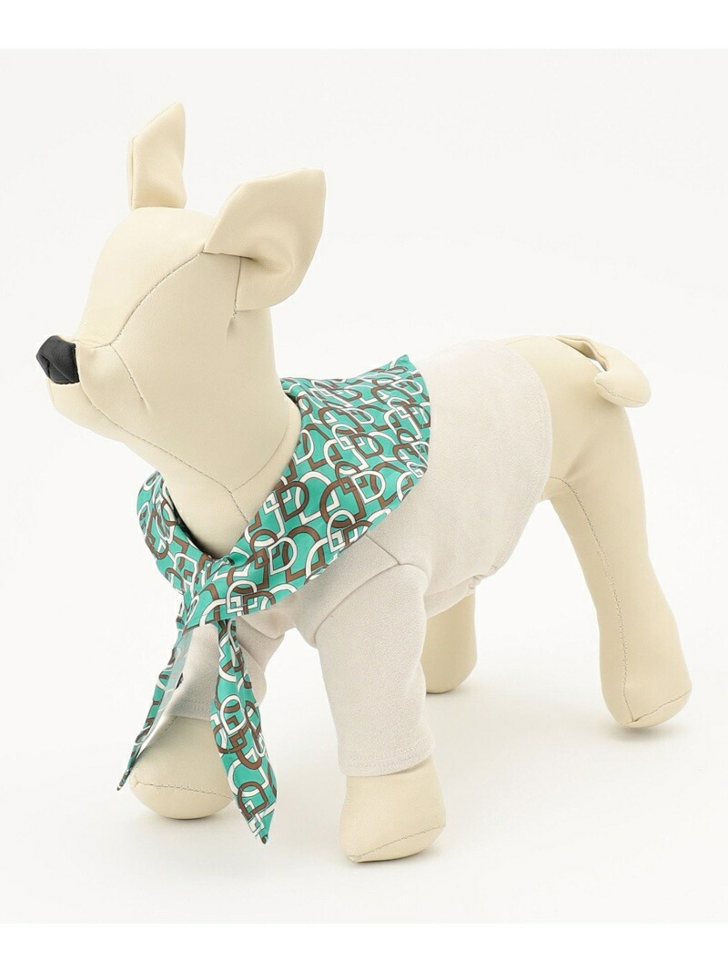 Dog-TOP3 21AW GRACE CONTINENTAL グレースコンチネンタル 福袋・差し上げ物・余分の物 余分の物 白いこと【貨物輸送無料】[ Fashion]