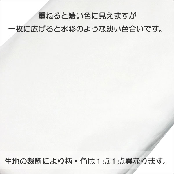 楽天市場 撮影用背景紙 不織布 3m 6m 布バック ペーパーバック スタジオ大型全身撮影用 バックシート ホワイト 白 Pc 002 グレースシトラス