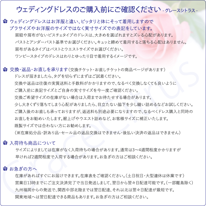 ドレス購入前説明