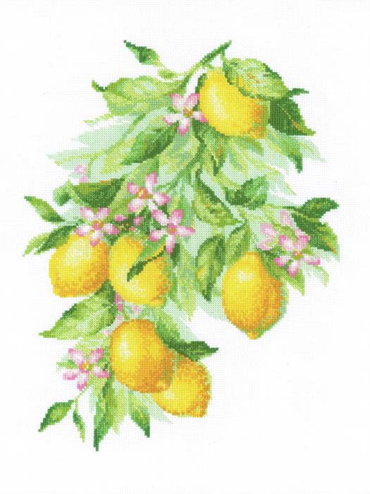 はりつけ台編み目 刺しゅう一揃いの道具 リオ木鼠 RIOLIS ブライトレモン Bright Lemons 花 実 草木 クロスステッチキット ししゅう 刺しゅう 25番綿織物刺しゅう糸当て嵌める